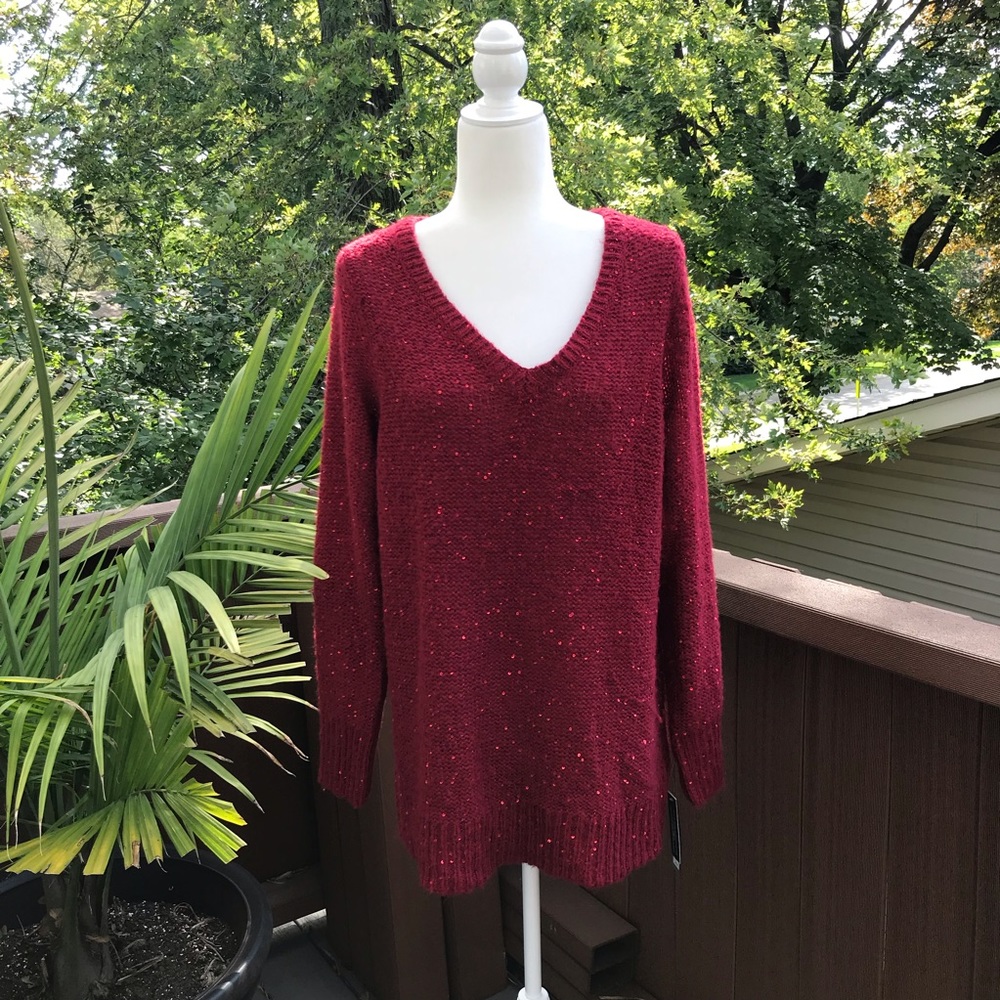 NWT Sparkly V•Neck Sweater